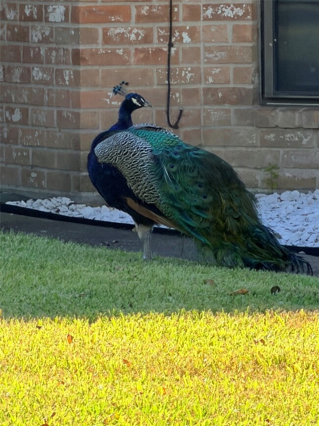 Building Photo - 7146 Bayou Forest Dr