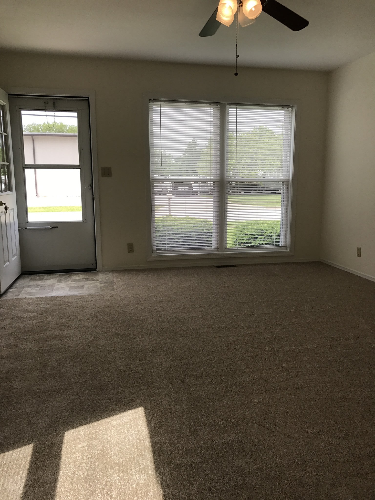 Large Windows in Living Room - 733 Rockwell Ave