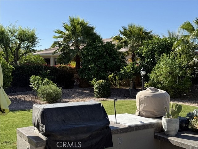 Building Photo - 35859 Cumberland Ct