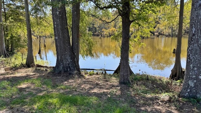 Building Photo - 401 Bayou Oaks Dr