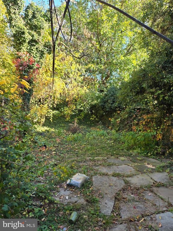 Building Photo - 5211 Ridge Ave