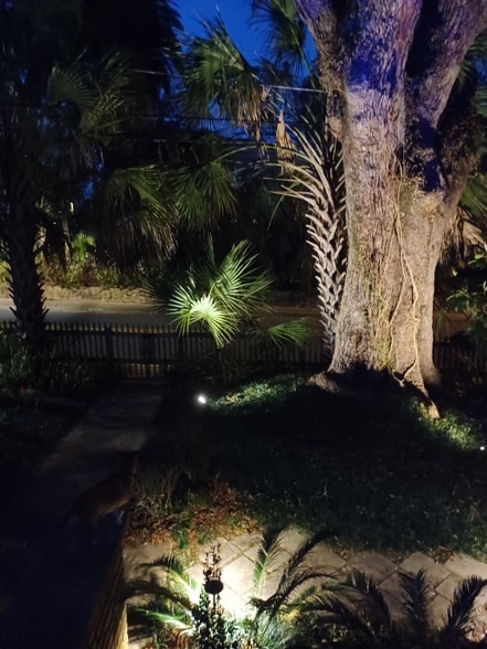 Building Photo - 503 E Call St