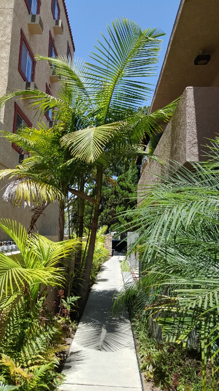 Building Photo - 1410 Venice Blvd.