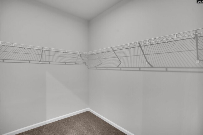 Building Photo - 903 Gold Ventura Ct