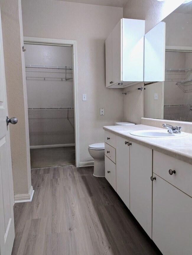 Building Photo - 1x1 New flooring, stove, washer/dryer. Includes Balconette facing a quiet tree lined street.