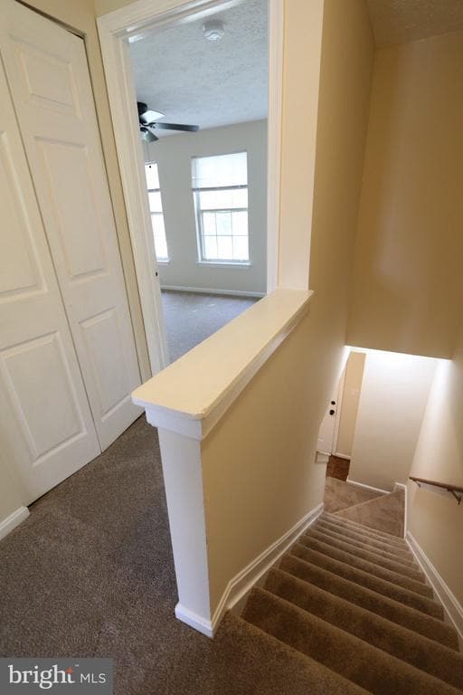 Building Photo - 2086 Tanglewood Dr