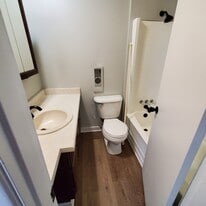 Main Bathroom - 16420 Willow Ridge Trail