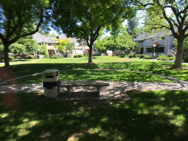 Grounds 1 - 274 Shadow Run Dr