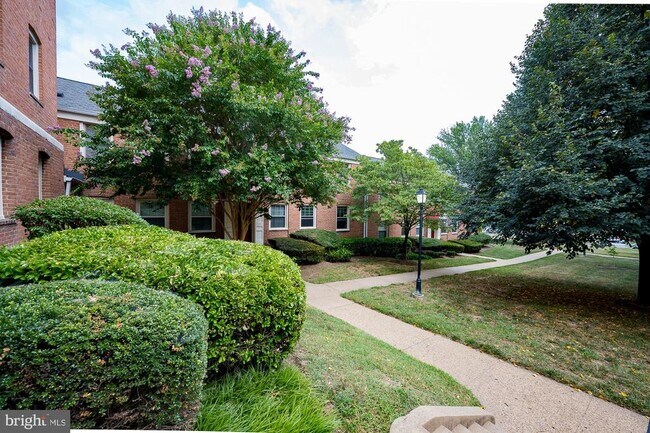 Building Photo - 2805 Arlington Blvd