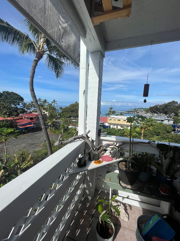 Building Photo - 75-5680-5680 Kuakini Hwy