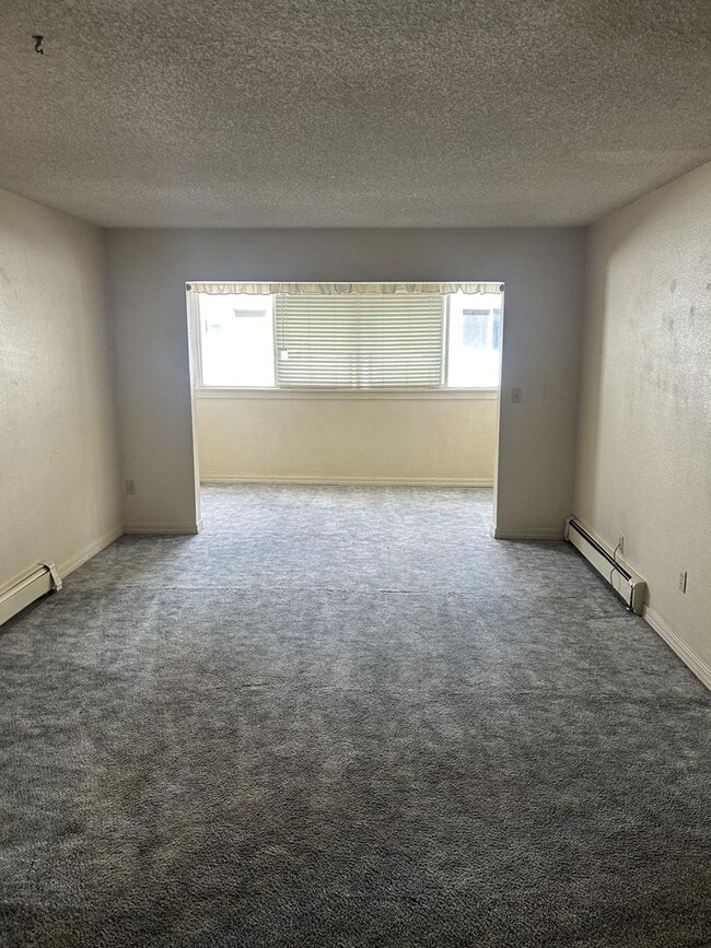 Primary Photo - 2 Bedroom 1 Bath Condo with Sun Room!