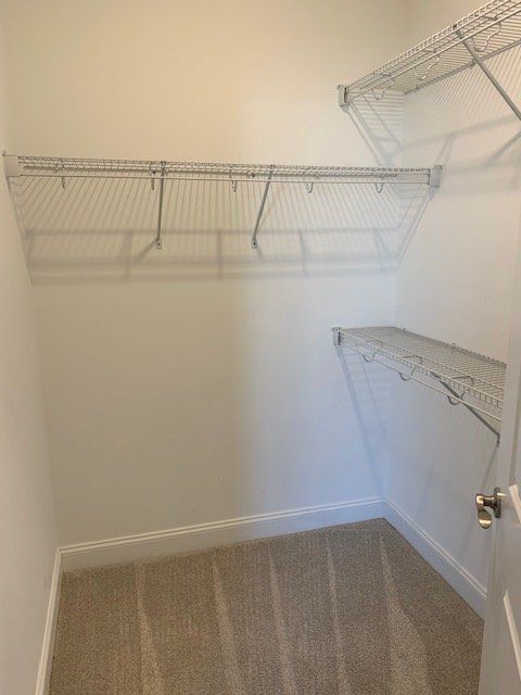 Building Photo - 4104 Bluebill Dr