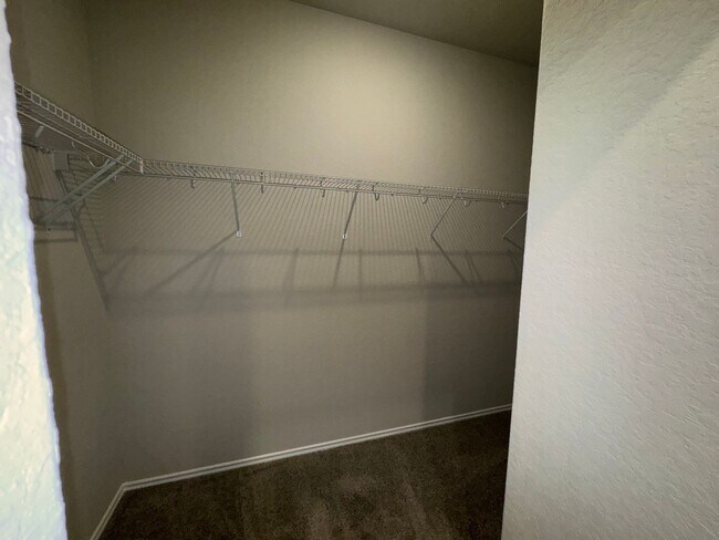 Building Photo - Brand New Single-Story NBTX Home!