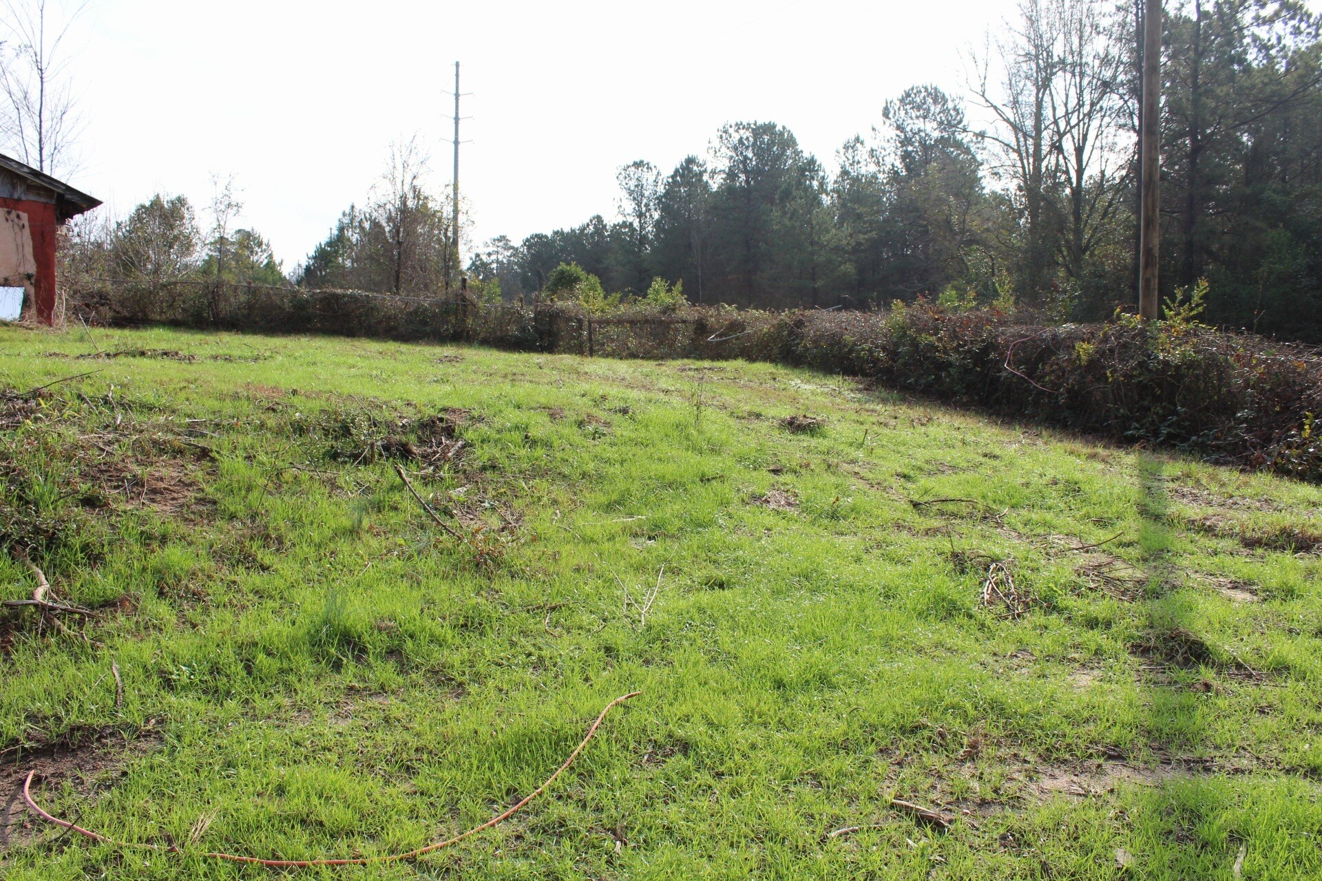 Back yard property - 703 Celeste Ave
