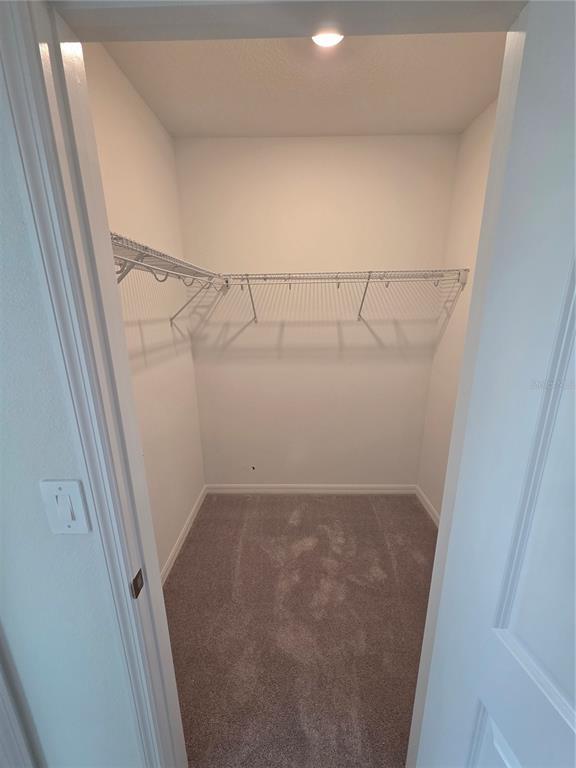 Building Photo - 503 Wayland Dr