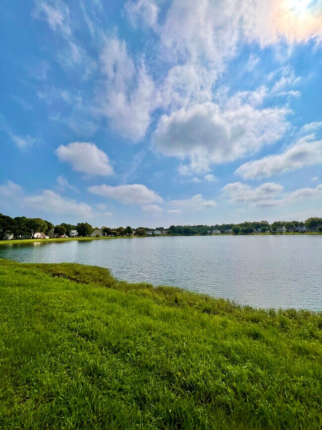 Building Photo - 6223 Cambridge Dr