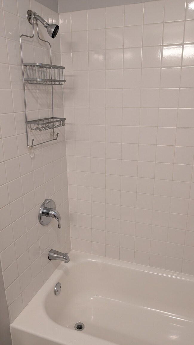 Building Photo - 429 E 45th Pl
