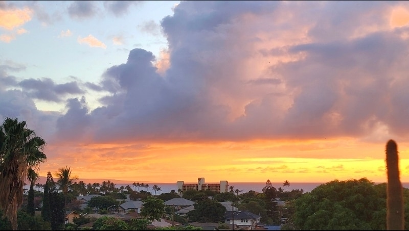 Building Photo - 86 Koki Pl