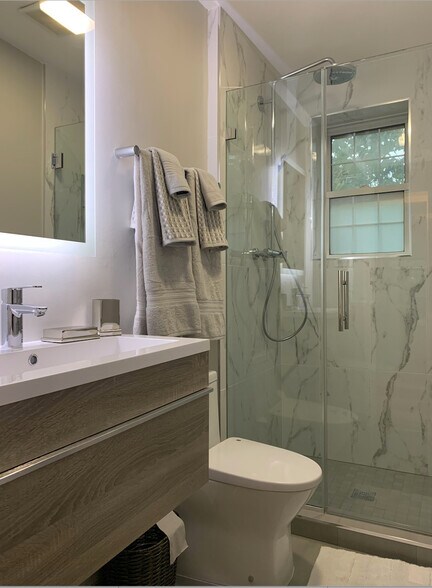 Brand new bathroom with rain and hand-held - 2227 10th St NW