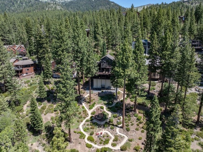 Building Photo - Tahoe Elegance