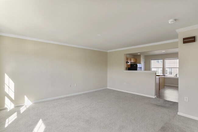 Building Photo - 18 Chillingham Ct