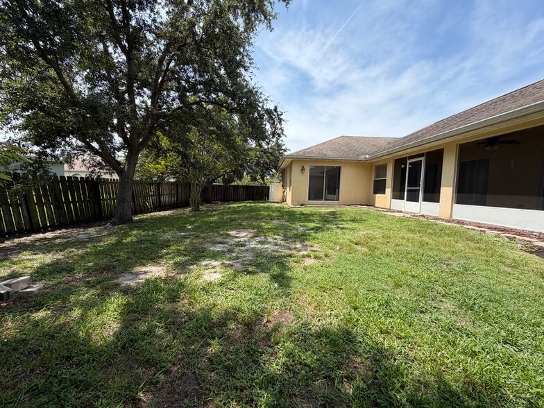 Backyard - 3371 Freedom Ave