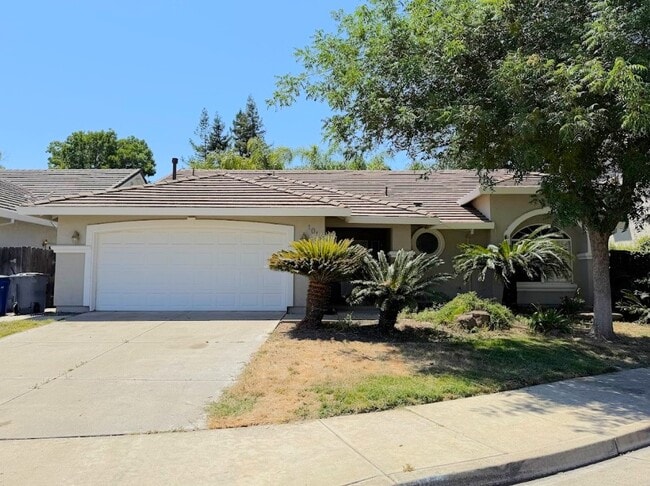 Primary Photo - 1018 Kiwi Ct