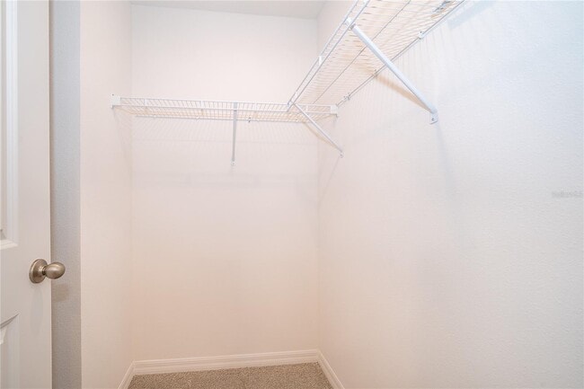 Building Photo - 5261 Luisa Ct