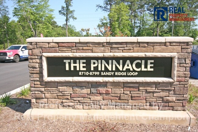 Building Photo - Newly Constructed Luxury Townhomes in Porters Neck