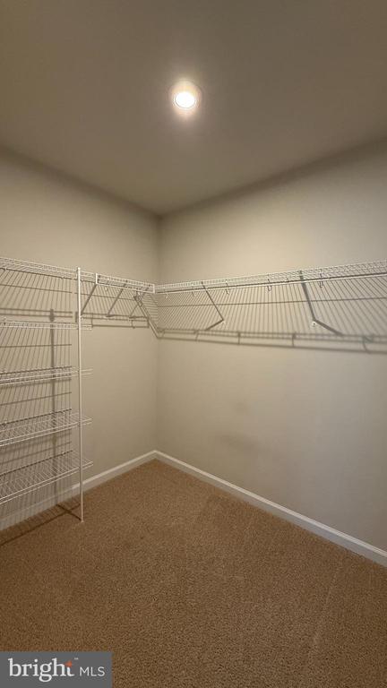 Building Photo - 6518 Wild Orchid Ct