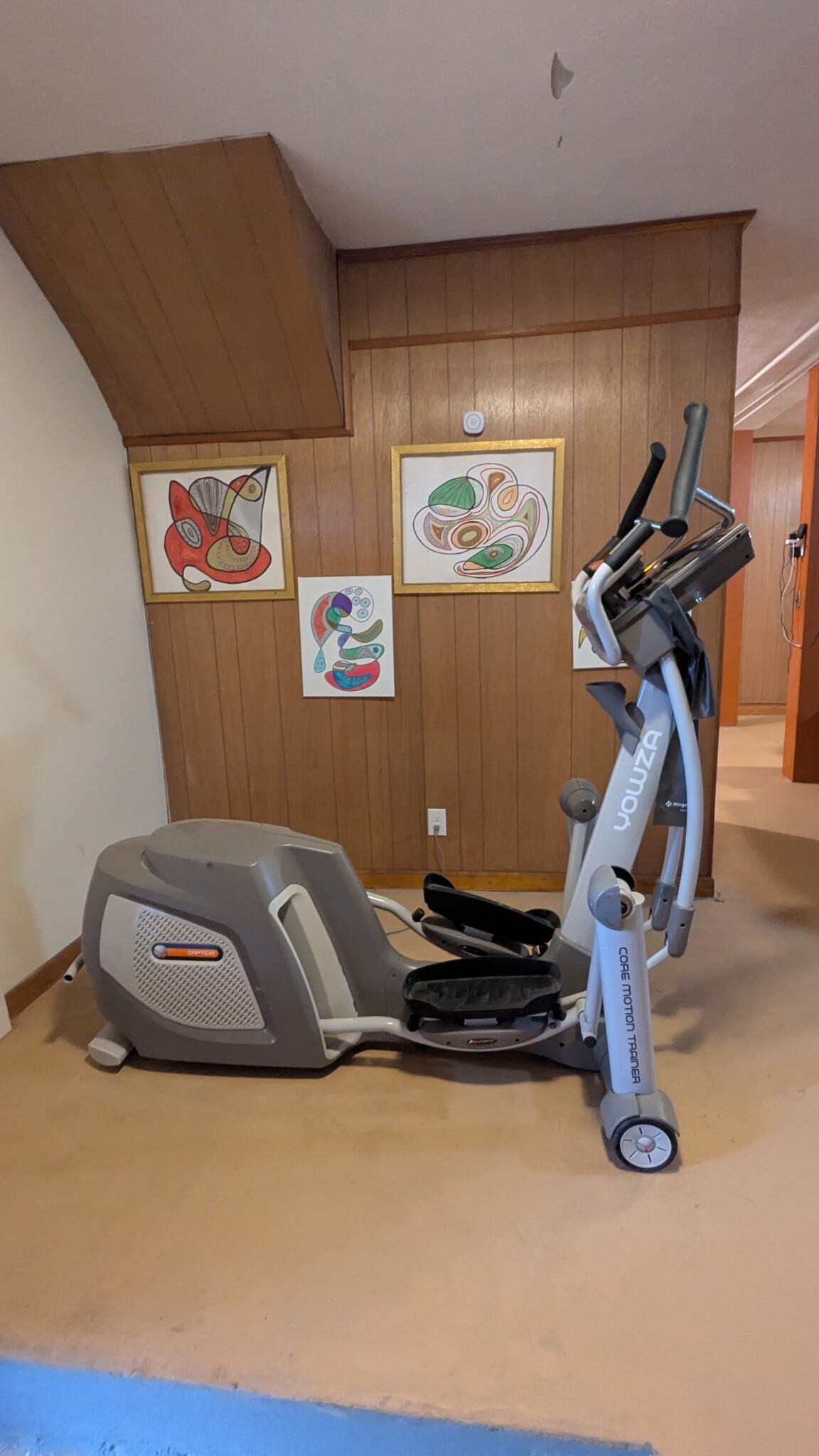 Elliptical - 1933 Saxton Ave