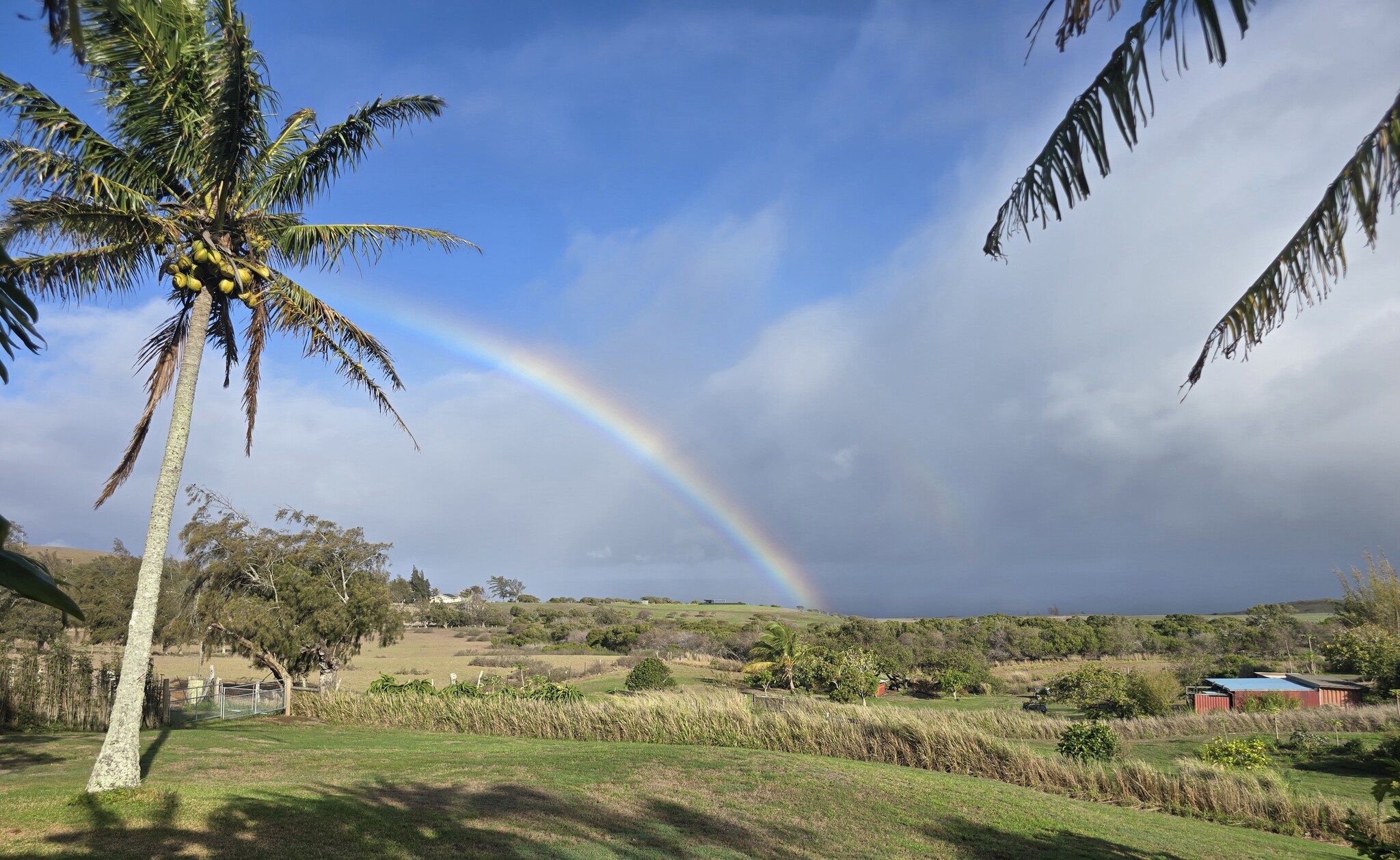 Building Photo - 55-3095-3095 Akoni Pule Hwy