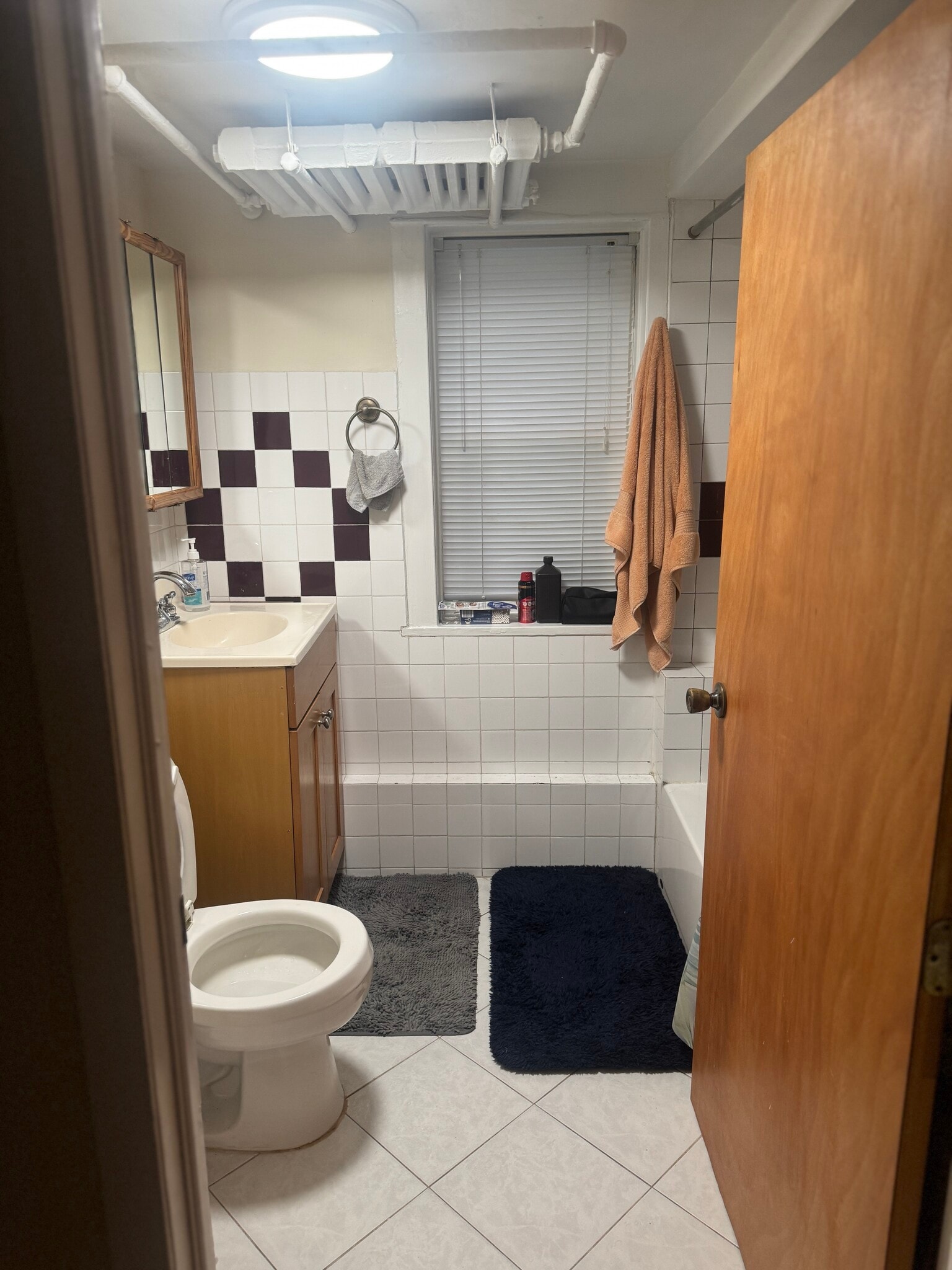 Bathroom - 5317 W Newport Ave