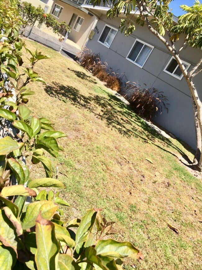 Building Photo - 6574 DP