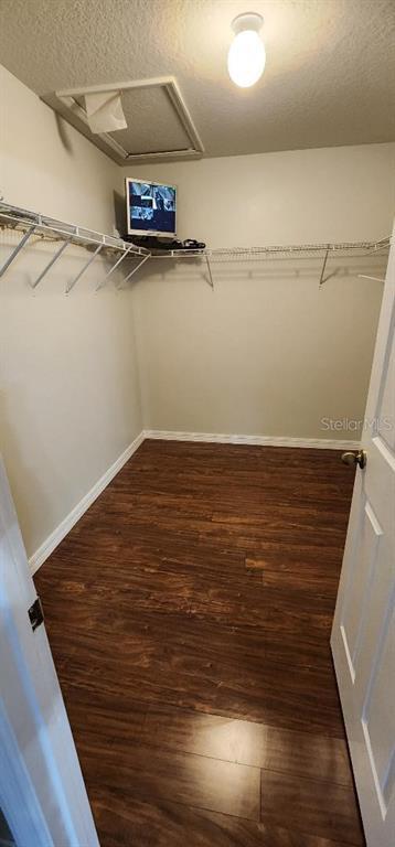 Building Photo - 527 Windrose Dr