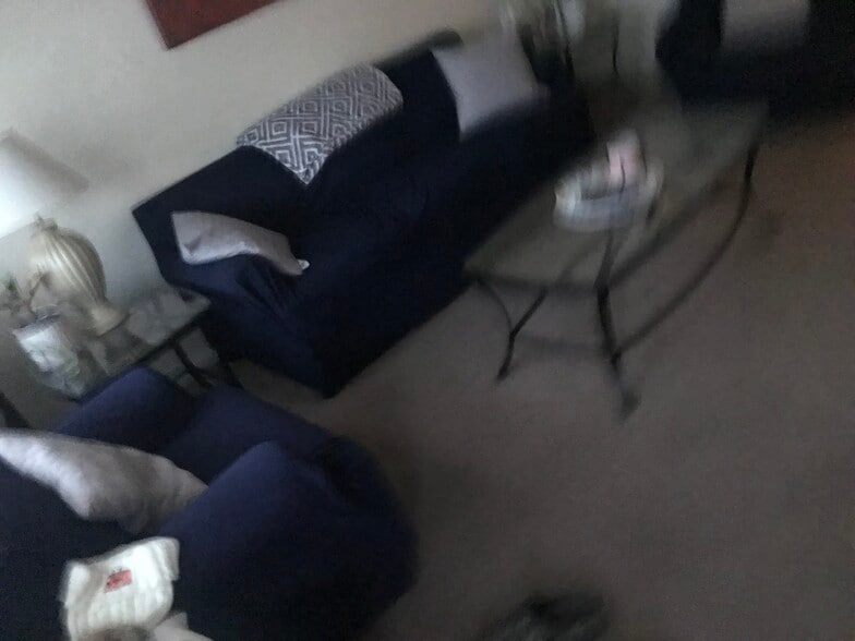 Furnished living room - 212 Court Ruelle