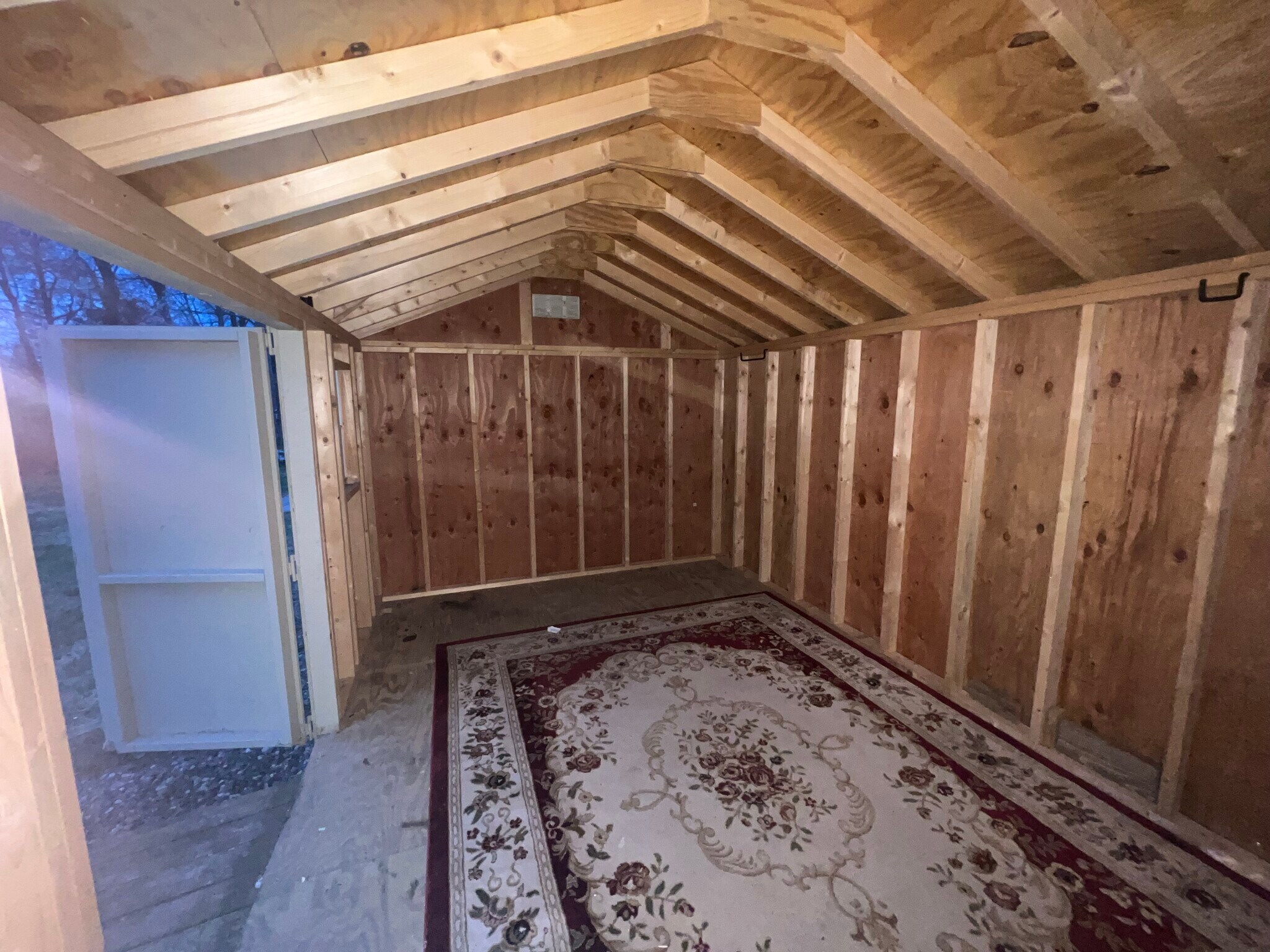 Shed - 16 Phelan St