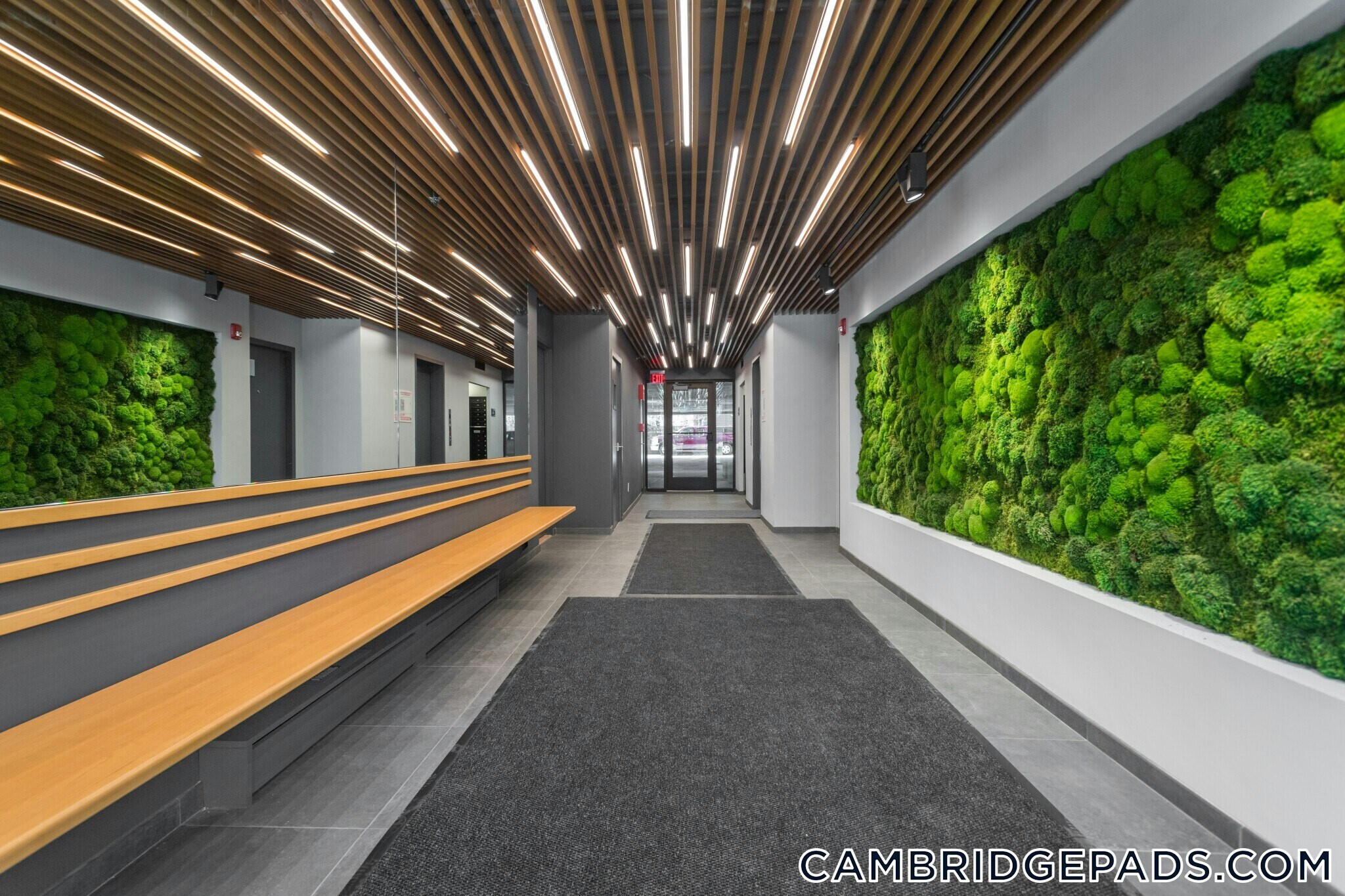 Building Photo - 334 Harvard St