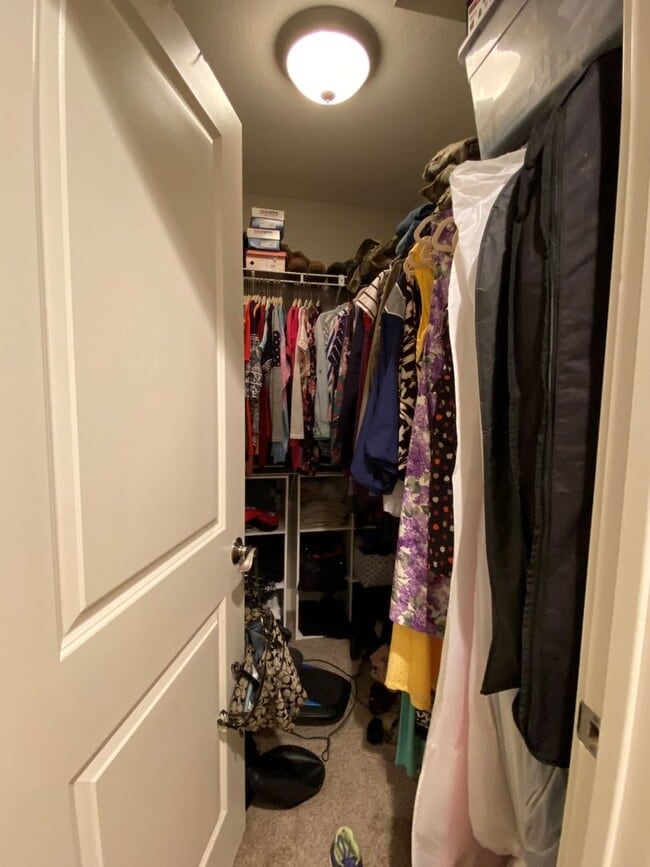 Building Photo - FENCED BACKYARD! BONUS ROOM/OFFICE! SAFE ROOM! THREE CAR GARAGE