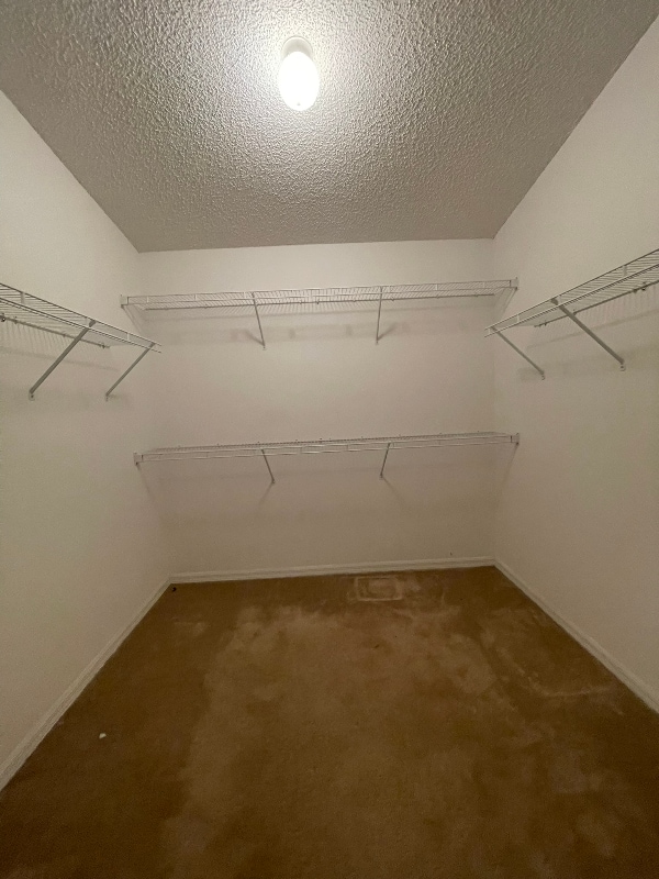 Building Photo - 4321 Swanna Dr