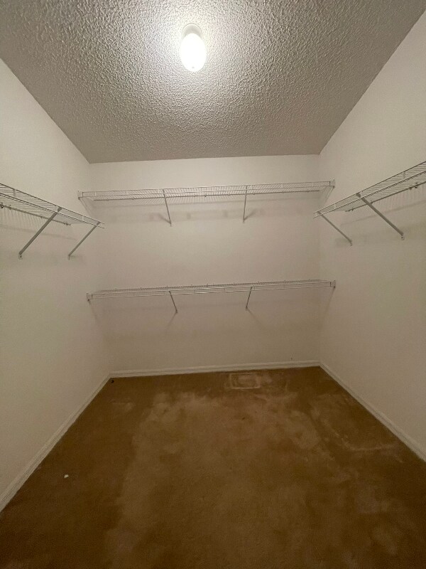 Building Photo - 4321 Swanna Dr