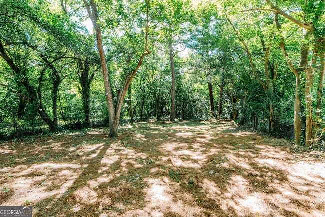 Building Photo - 3584 Log Cabin Dr