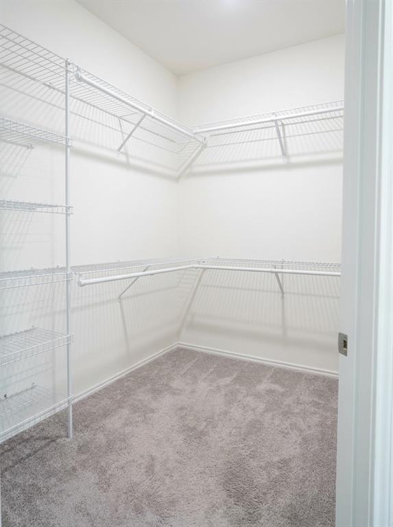 Building Photo - 4653 Alfano Loop