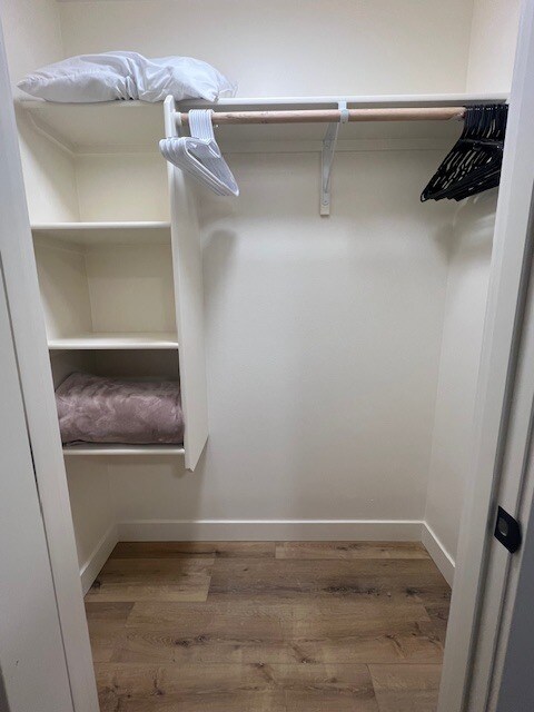 Building Photo - 19153 Jessica Ann St