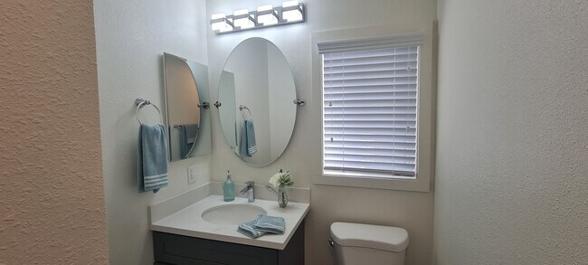 Building Photo - Newly Remodeled 1 Bedroom / Call or text O...