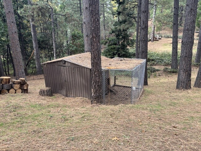 Building Photo - 3/2 on 3/4 acre lot near Holiday Market fo...