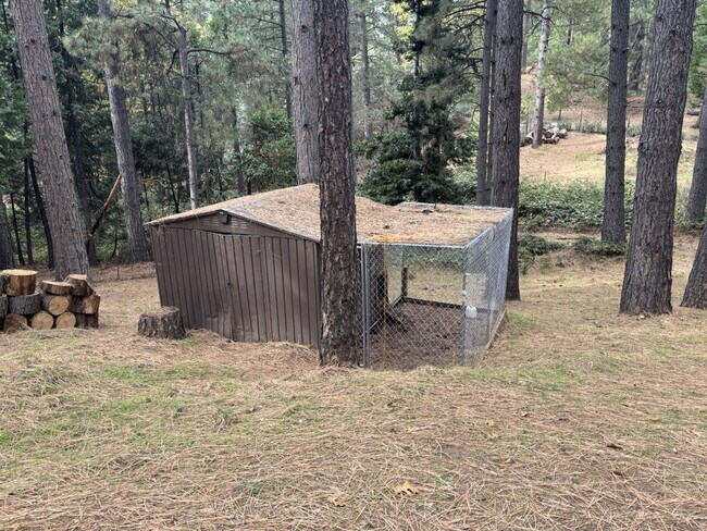 Building Photo - 3/2 on 3/4 acre lot near Holiday Market for rent!