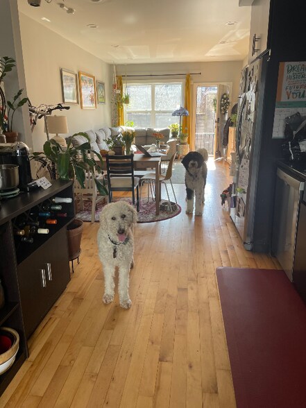 Building Photo - 527 Titan St