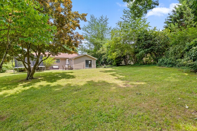 Backyard - 3291 Van Buren St