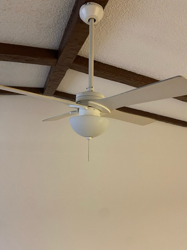 Building Photo - 3067 St Paul Dr